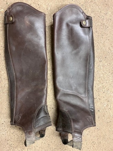 Ariat concord leather adult - ariat,